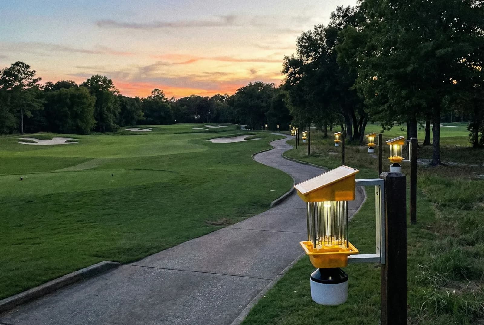 BF-SIK-16-18W All-in-One solar insect killer lights deployed along a golf course pathway at sunset